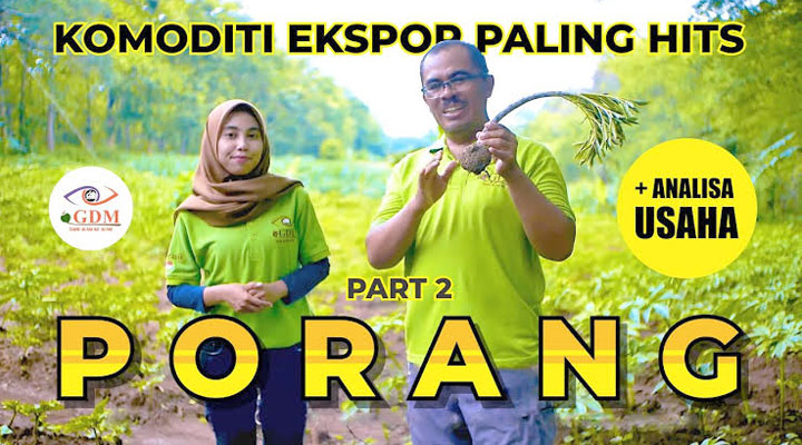PORANG1.jpg