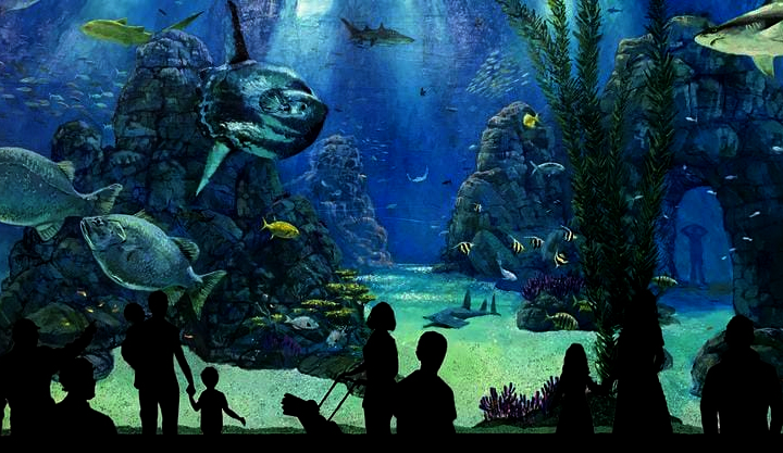 Aquarium-.jpg2.jpg