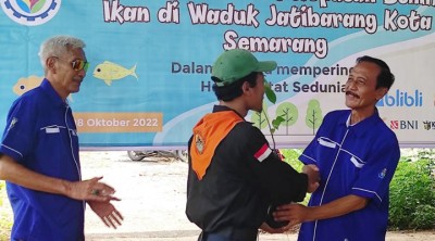 iapat2.jpg