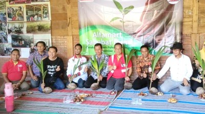 kelapa-wulung.jpg1.jpg